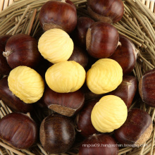 Wholesale Price Hebei Qianxi Chestnut Organic Cultivation Fresh from CN;HEB a Grade in 7--15 Days Raw 0 to Minus 2 Degrees